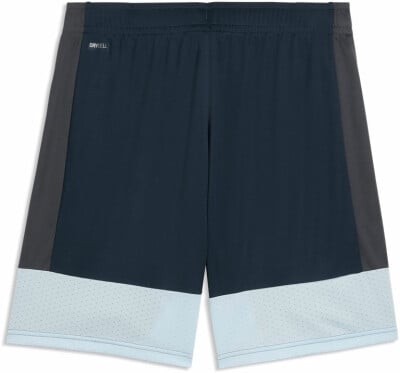 Puma IndividualLIGA Short
