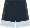 Puma IndividualLIGA Short