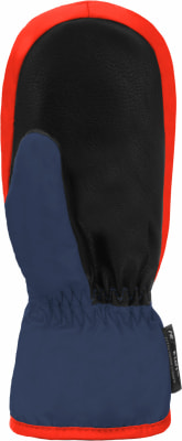 Reusch Ben Fäustlinge