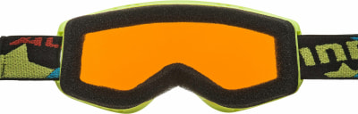 Alpina Carvy 2.0 Skibrille