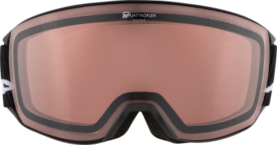 Alpina Nakiska QH Skibrille