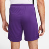 Herren-Shorts in Lila von Nike mit elastischem Bund und Kordelzug.