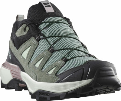 Salomon X Ultra 360 LTR GTX Outdoorschuhe