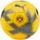BVB Cage Mini Fußball