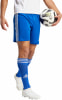 adidas SQUAD 21 Trainingsshorts