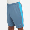 Nike Dri-FIT Academy23 gyerek rövidnadrág