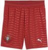 Puma FPF Shorts Replica Fanshort