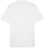 Puma teamGOAL Casuals Poloshirt