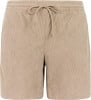 Protest PrtNatty Shorts