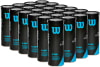 Wilson Tour Premier All CT 3er-Pack Tennisbälle