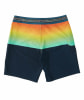 Billabong Fifty50 Pro Badeshorts