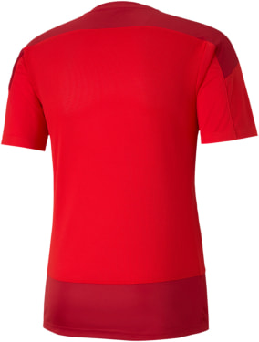 teamGOAL 23 Training Fußballtrikot
