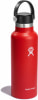 Hydro Flask 18 oz Standard Mouth Flex Cap Thermosflasche