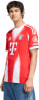 adidas FC Bayern München 25/26 Heimtrikot