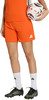 Ein Fußballspieler in orangefarbenen Shorts und Fußballschuhen hält einen Fußball.