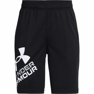 Under Armour Prototype 2.0 Logo Shorts