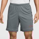 Nike Academy 25 Fußballshorts