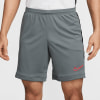 Nike Academy Dri-FIT Shorts