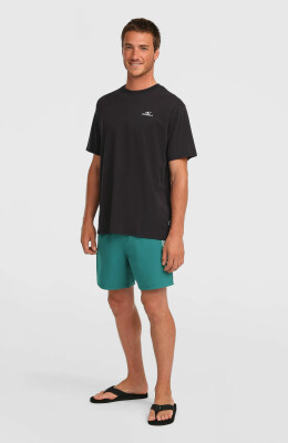 O'Neill Logo Badeshorts