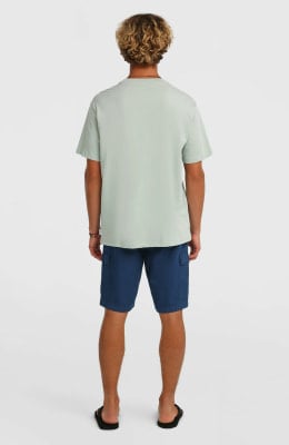 O'Neill Essentials Ripstop Shorts O'Neill Essentials Ripstop Shorts