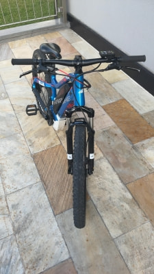 Haibike SDURO HardFour