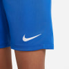Nike Park III Trainingsshorts