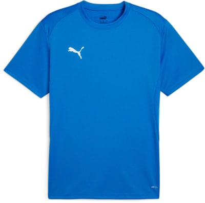 Puma teamGOAL Trikot