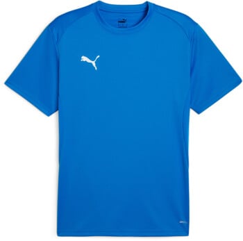 Puma teamGOAL Trikot