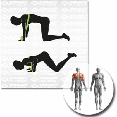 Schildkröt Fitnessband Größe: 900x40mm Schildkröt Fitnessband Größe: 900x40mm