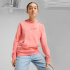 Puma Essentials Script Hoodie