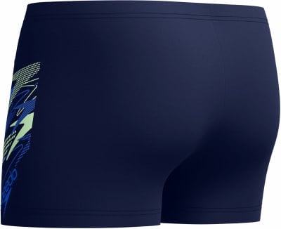Speedo Medley Logo Aqua Badehose lang