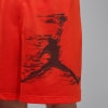 Nike J DF SPRT GFX ffi. sort