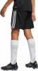 adidas TASTIGO25 SHO Y FB-Short