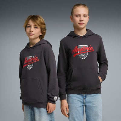 Puma ÖFB 2026 Culture Hoodie