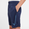Nike DF HBR Shorts