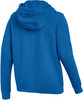 Ein blauer Herren-Hoodie, von hinten betrachtet.