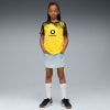 Puma BVB Home Jersey Replic Fantrikot