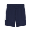 Puma teamEVOSTRIPE Short 77%BW 23%PES, dryCELL