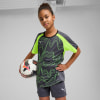 Puma individualLIGA Graphic T-Shirt