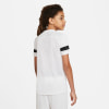 Nike Dri-FIT Academy gyerek póló