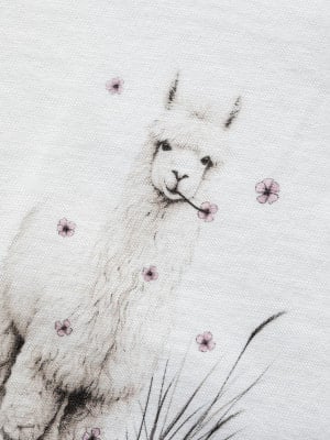 Chillaz Leoben Alpaca Meadow T-Shirt