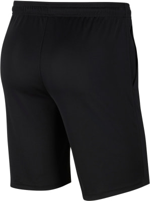 Nike Dri-FIT Park 20 Trainingsshorts