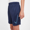 Nike DF HBR Shorts