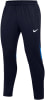 Nike Dri-FIT Academy Trainingshose