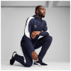 Puma teamEVOSTRIPE Hoody Kapuzensweater 77%BW 23%PES, dryCELL