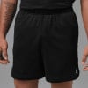 Nike Jordan DriFit Shorts
