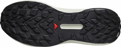 Salomon Genesis GTX Traillaufschuhe