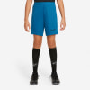Nike Dri-FIT Academy gyerek rövidnadrág