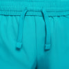 Nike Dri-FIT Multi Shorts