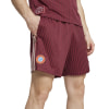 adidas FC Bayern München Terrace Icons Shorts